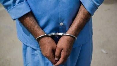 دستگیری دو عنصر نفوذی در تهران در پوشش خبرنگار